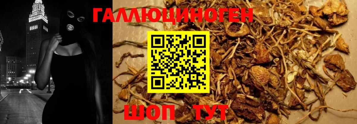 Галлюциногенные грибы ЛСД  Вход с VPN  Псилоцибиновые грибы Magic Shrooms  Новозыбков 