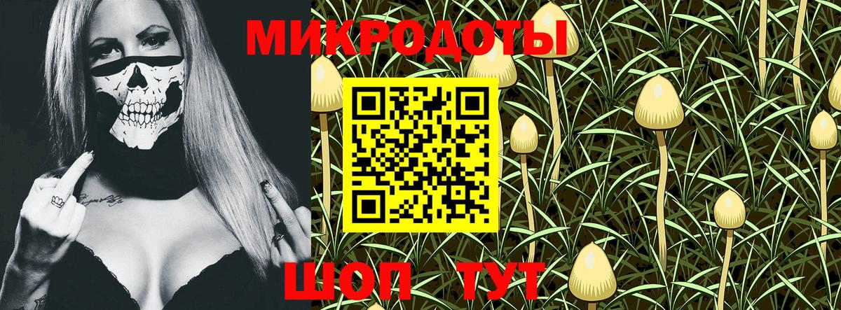 Галлюциногенные грибы Psilocybine cubensis Новозыбков